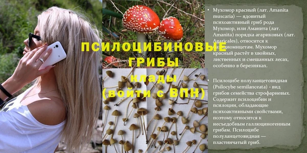 MDMA Premium VHQ Богородицк