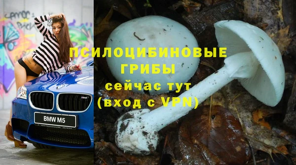 ALPHA PVP Беломорск