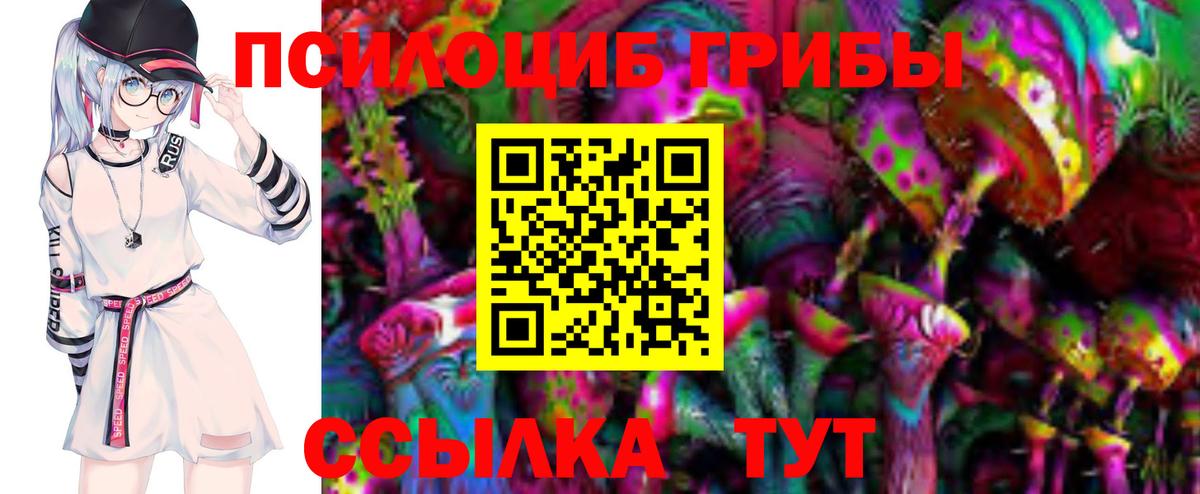 МЕФ Гудермес