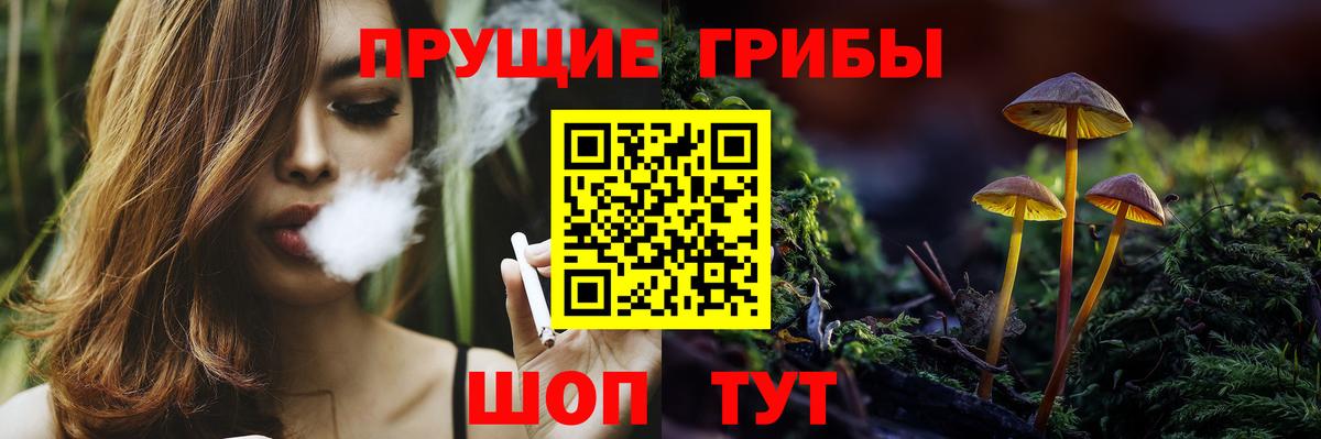 Галлюциногенные грибы GOLDEN TEACHER  Вход с VPN  Гудермес  Галлюциногенные грибы мицелий 